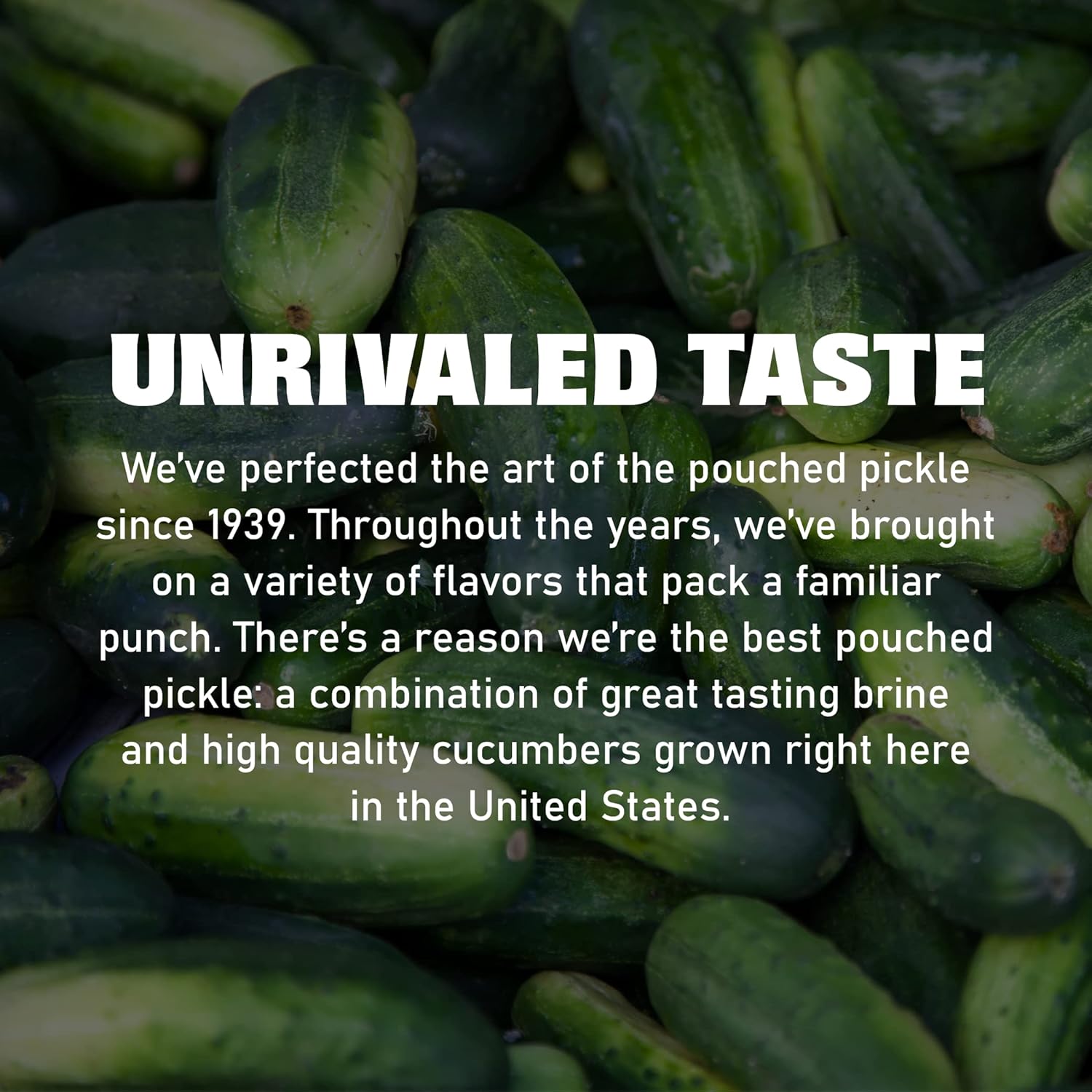 Van Holten's Jumbo Dill Pickle-In-A-Pouch