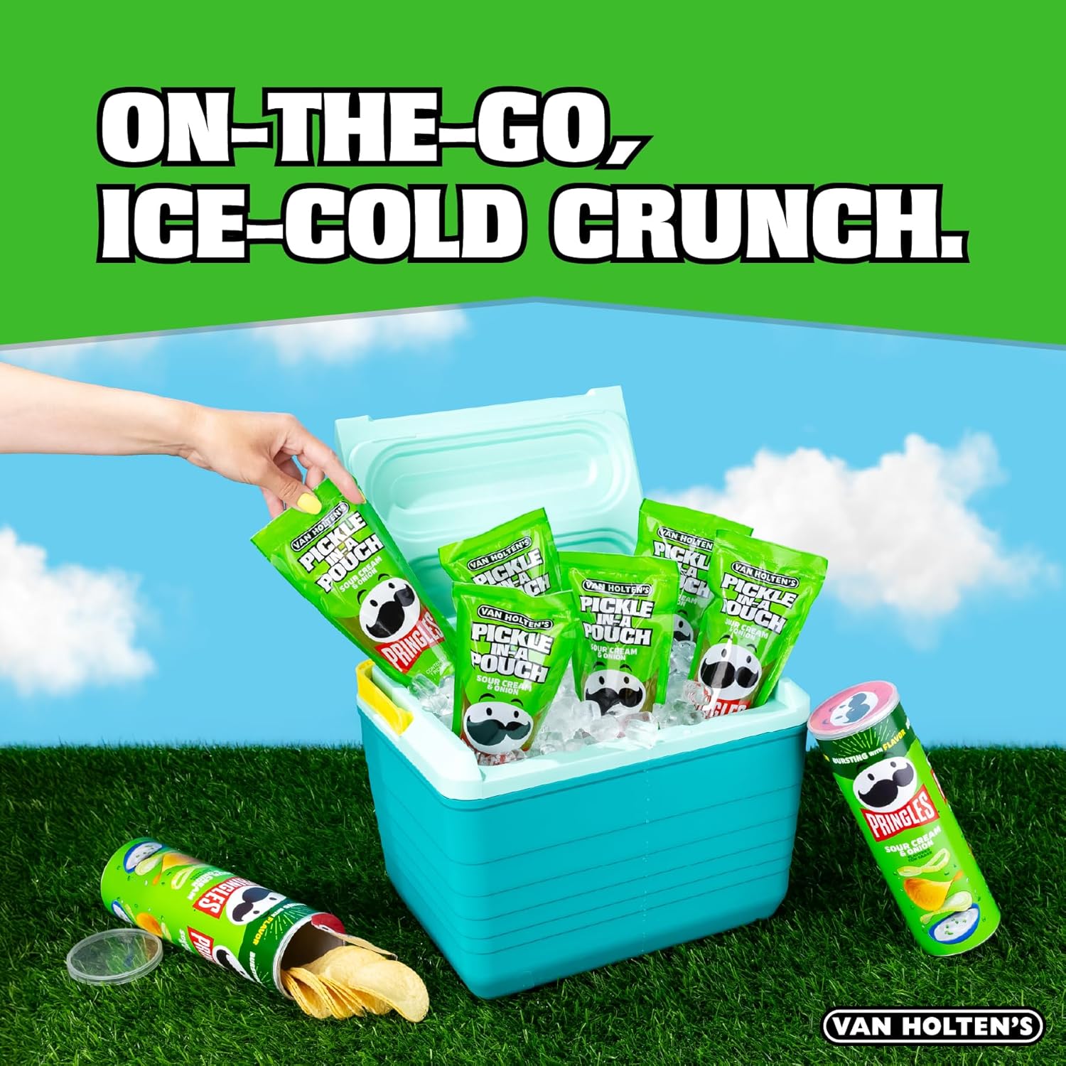 Van Holten's Pickle-In-A-Pouch Pringles Sour Cream & Onion Snack
