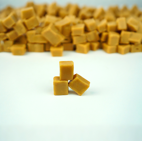 Candy Express Fudge with Sea Salt